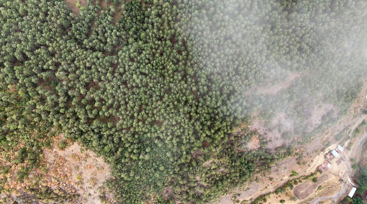 Kastamonu’da sis kartpostallık görüntüler oluşturdu