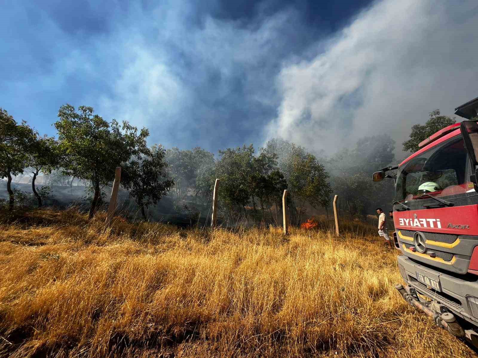 Bitlis&rsquo;te &ccedil;ıkan yangın ağa&ccedil;lara zarar verdi
