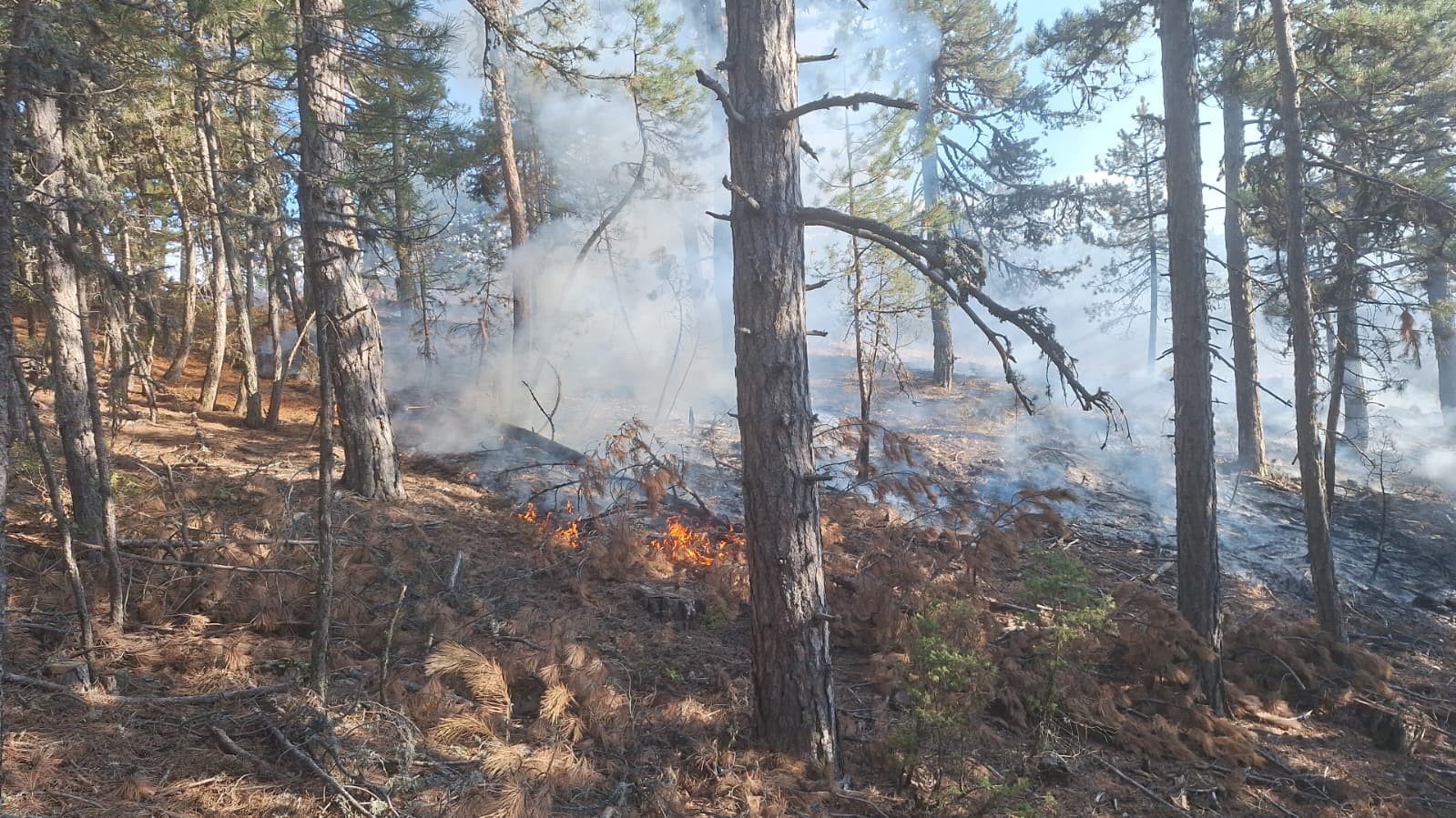 Demirci’de orman yangınına havadan müdahale