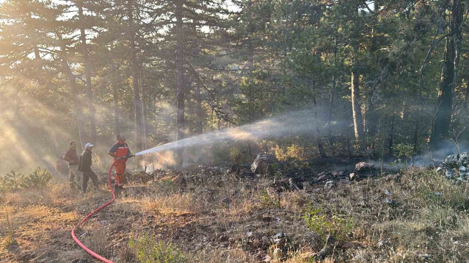 Demirci’de orman yangınına havadan müdahale
