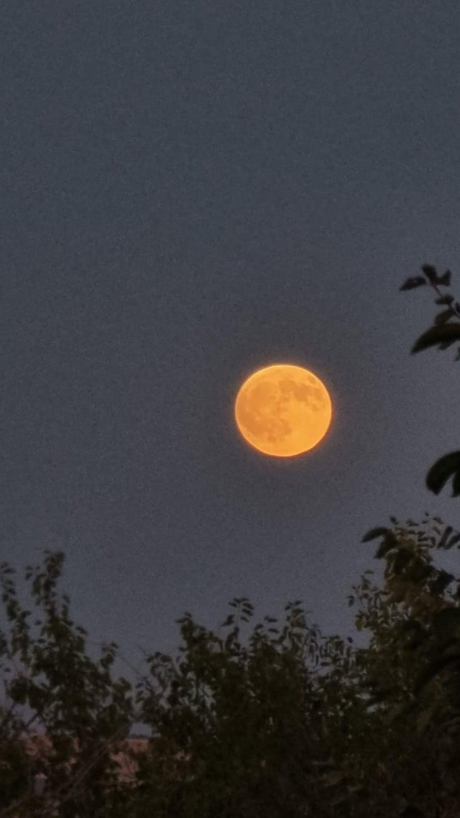 Elazığ&rsquo;da &lsquo;Kanlı Ay&rsquo; tutulması g&ouml;r&uuml;nt&uuml;lendi
