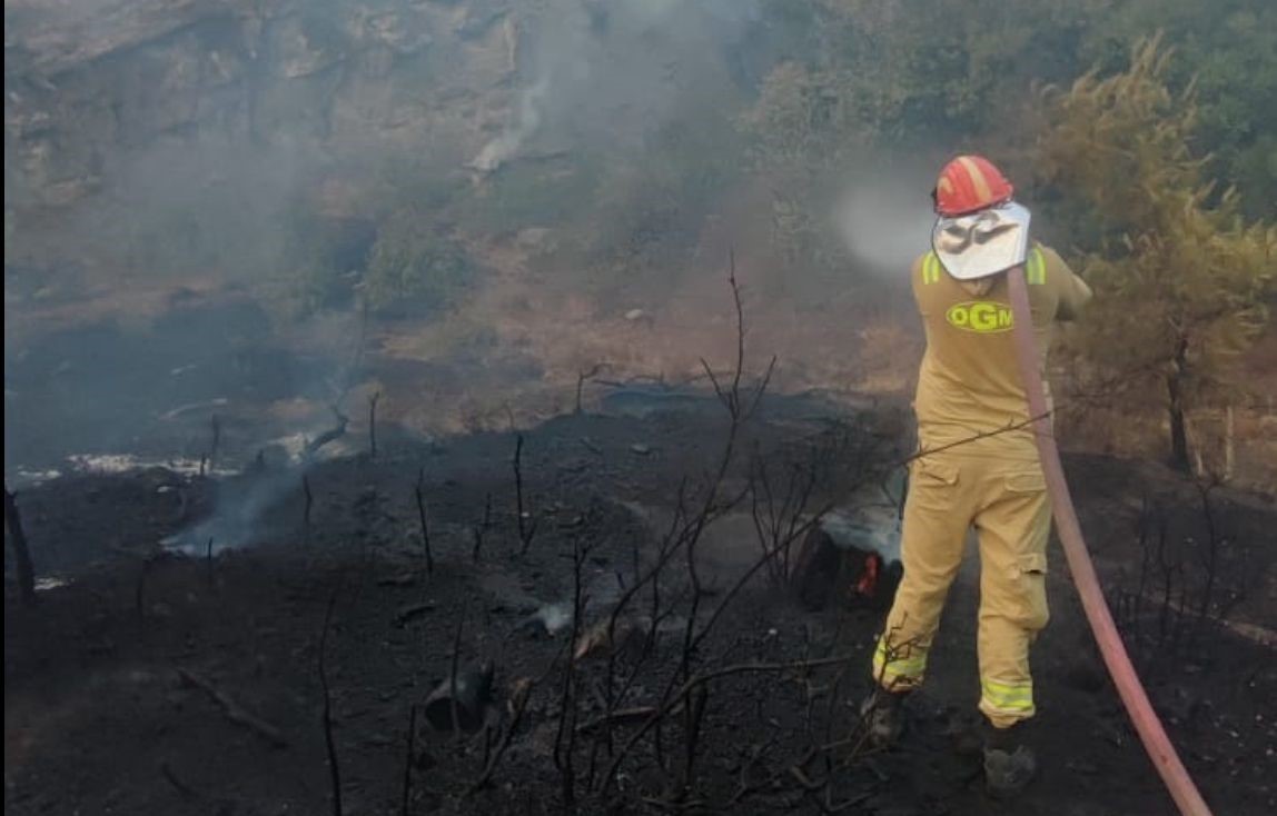 Adana’daki orman yangını kontrol altına alındı