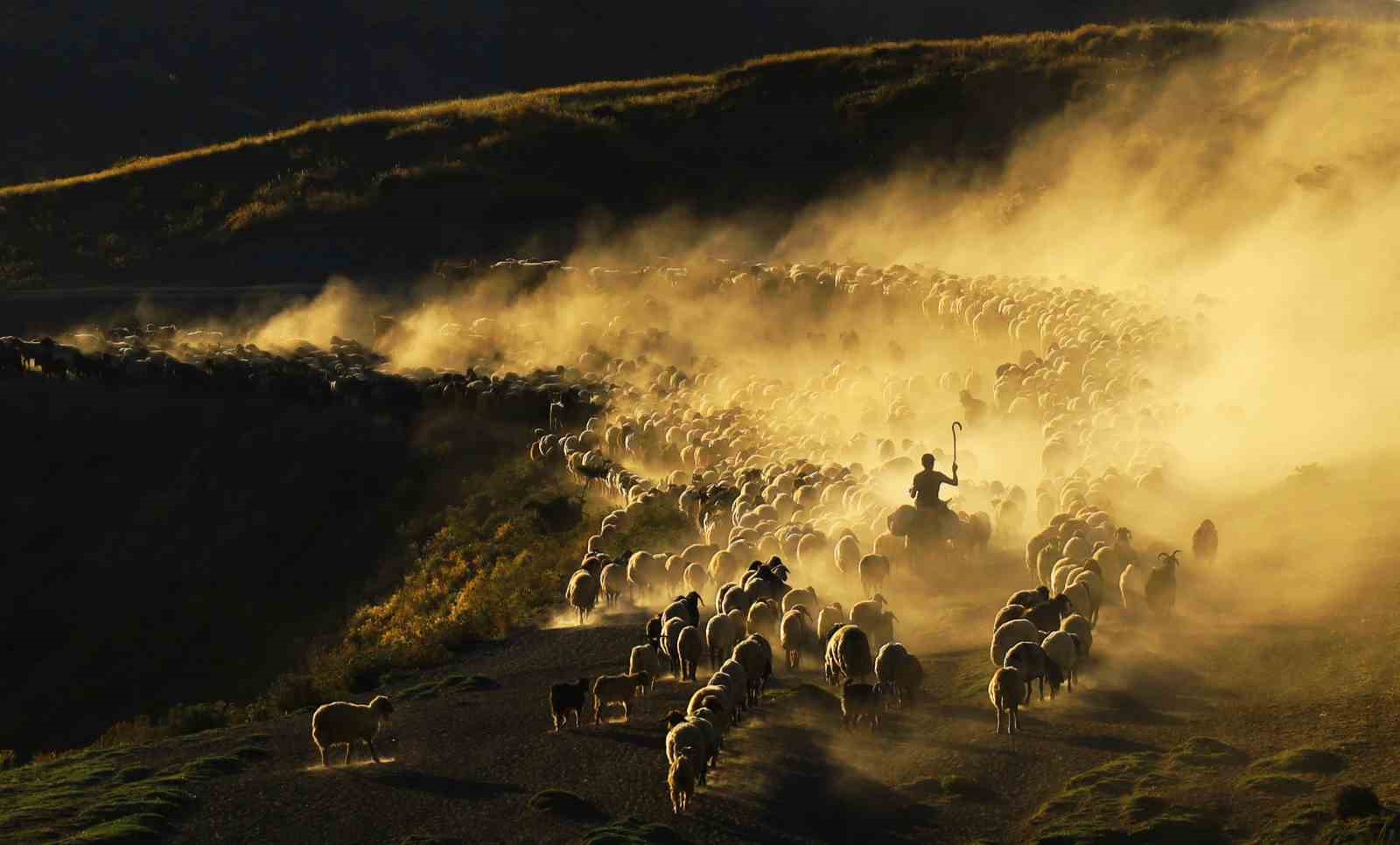 İHA muhabiri &Ouml;zkan Olcay&rsquo;a GGC&rsquo;den birincilik &ouml;d&uuml;l&uuml;
