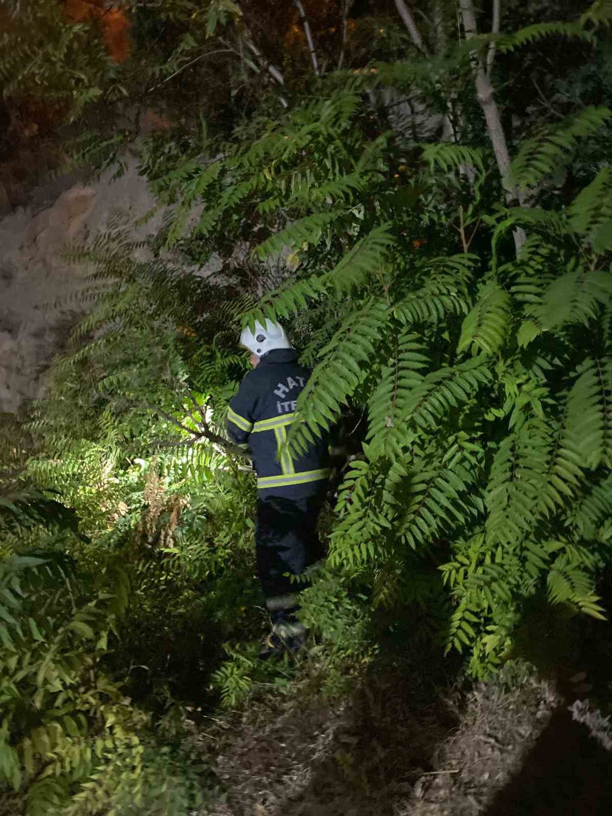 Kuyuya düşen köpeği itfaiye kurtardı