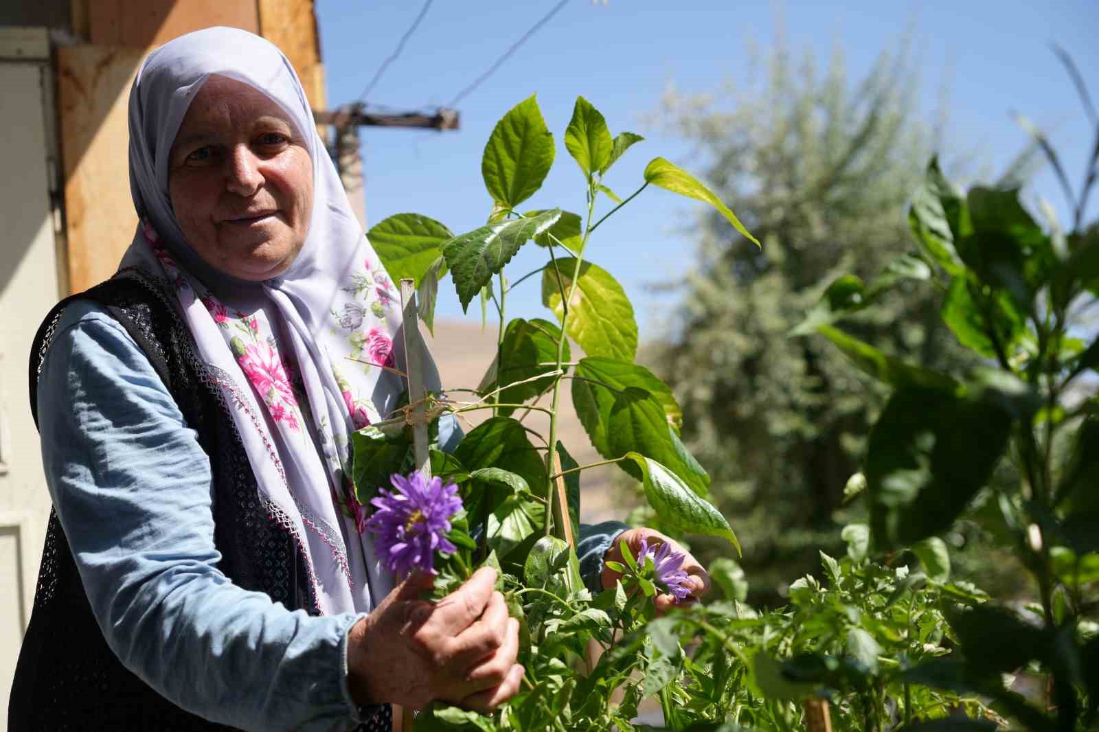 44 yıldır kiracısı olduğu eve g&ouml;z&uuml; gibi bakıyor: "Kendi imk&acirc;nlarımızla evimizi saray yaptık"
