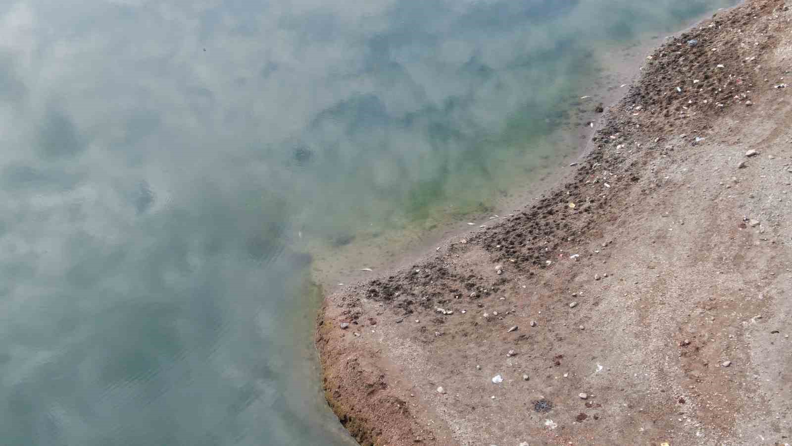 Kastamonu’da su seviyesi düşen barajda ölen balıklar kıyıya vurdu