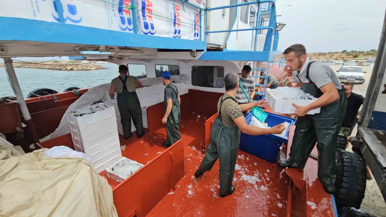 Balık fiyatları 1 ay sonra ucuzlayacak