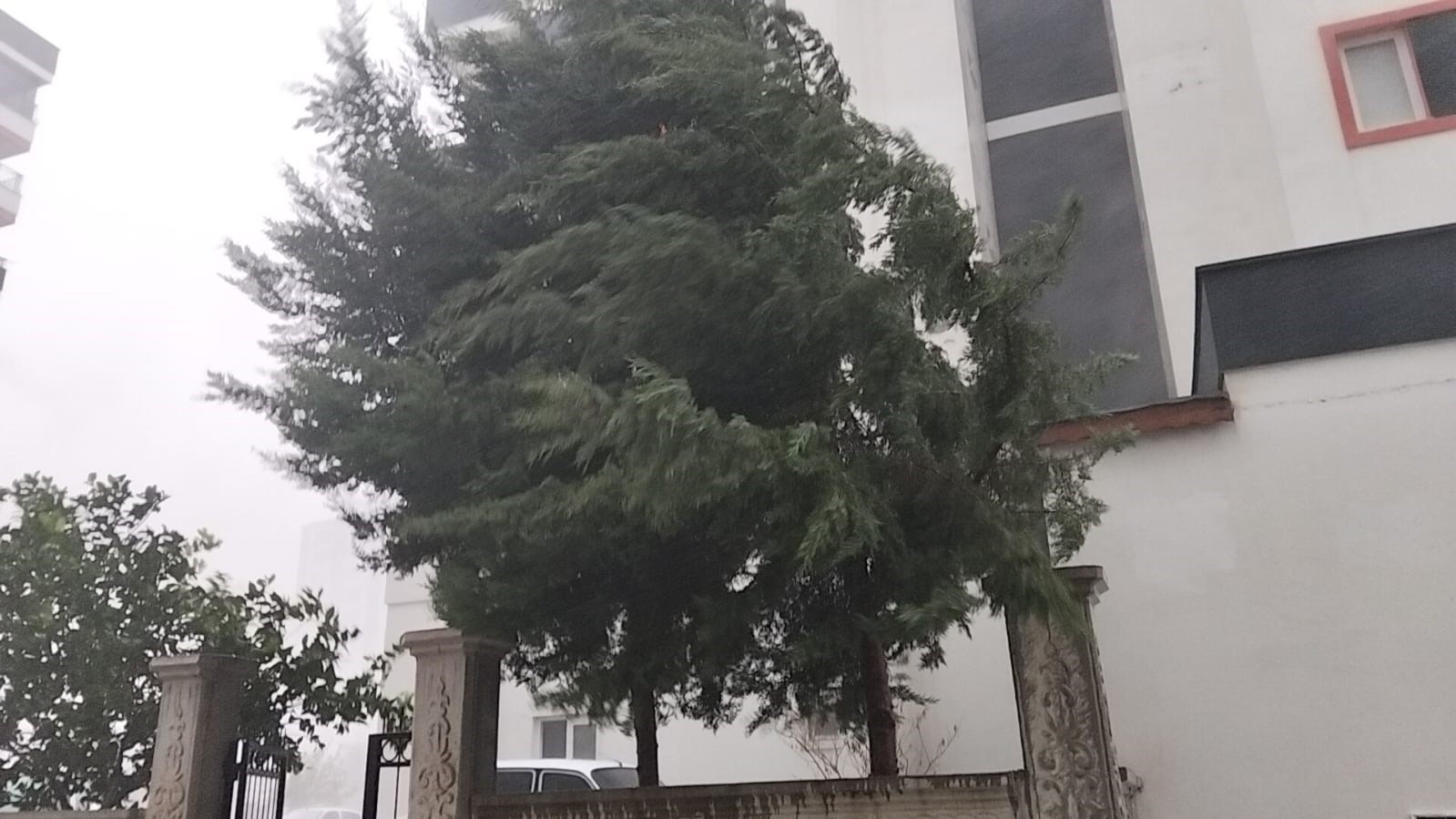 Adana Kozan’da fırtına ve yağmur etkili oldu