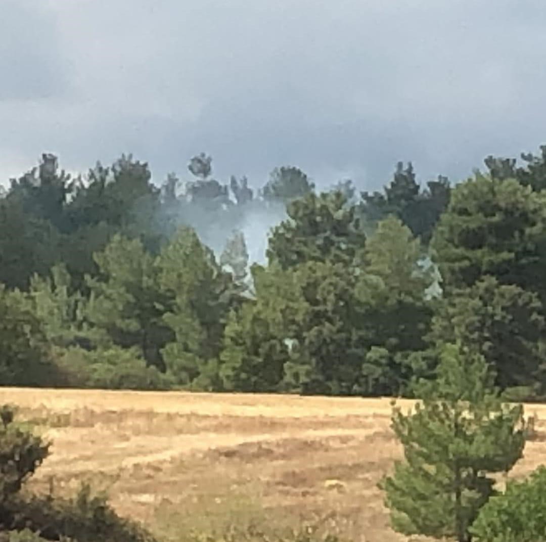 Tavşanlı&rsquo;da yıldırım d&uuml;şmesi sonucu &ccedil;ıkan orman yangını havadan m&uuml;dahaleyle kısa s&uuml;rede s&ouml;nd&uuml;r&uuml;ld&uuml;
