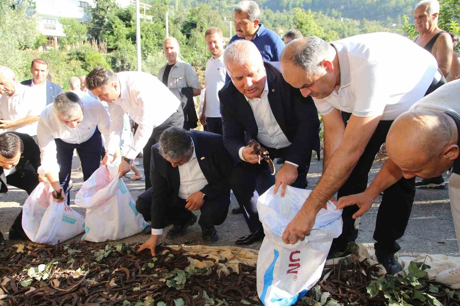 Alanya&rsquo;da ke&ccedil;iboynuzu hasat şenliği ve coğrafi tescil belge t&ouml;reni
