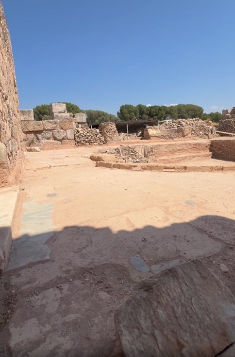 Tralleis’teki Natatio kazıları bu yıl içinde tamamlanacak