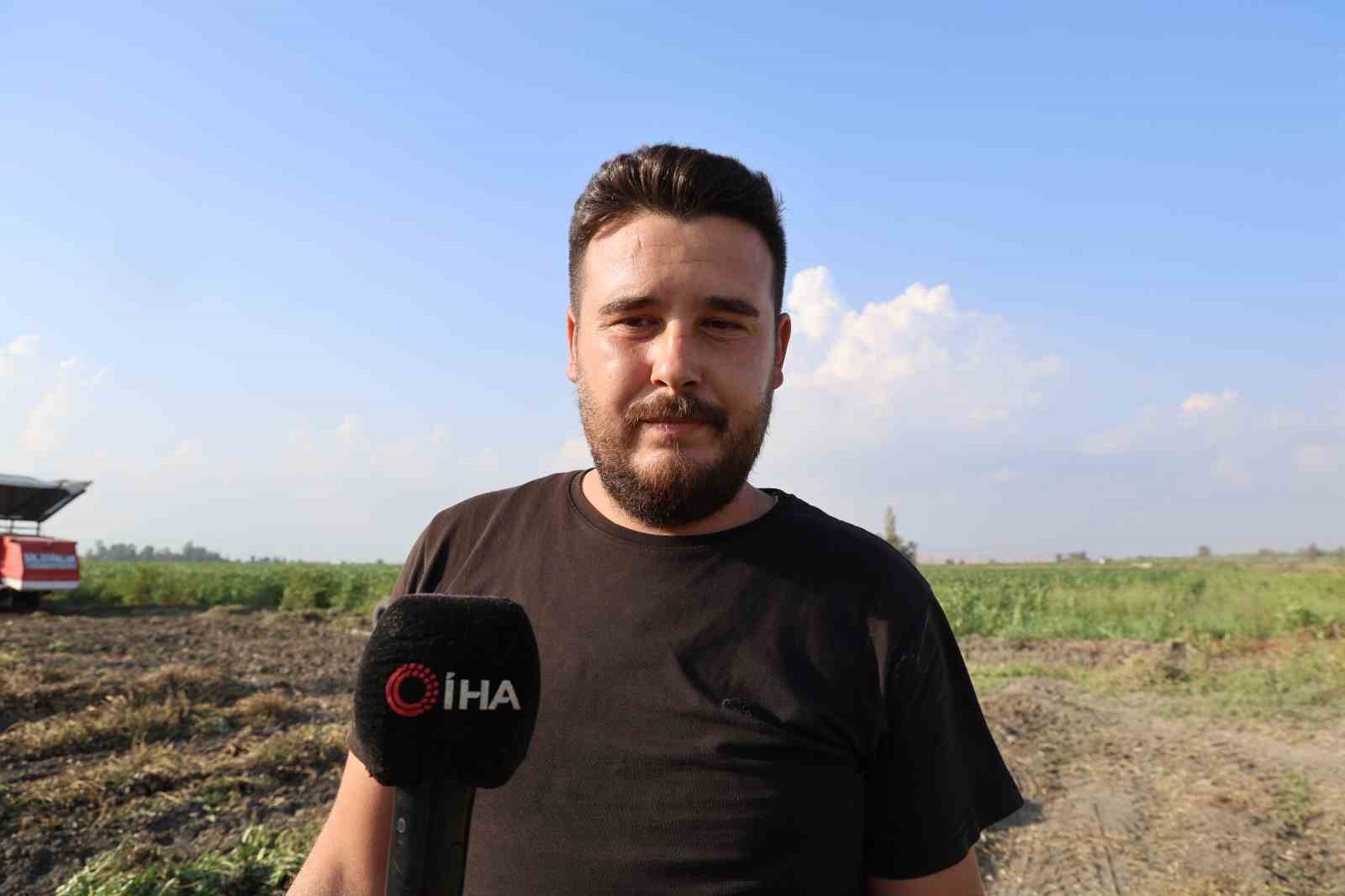 Yer fıstığında hasat: Üreticinin yüzü güldü, kuşlar da şölene katıldı 