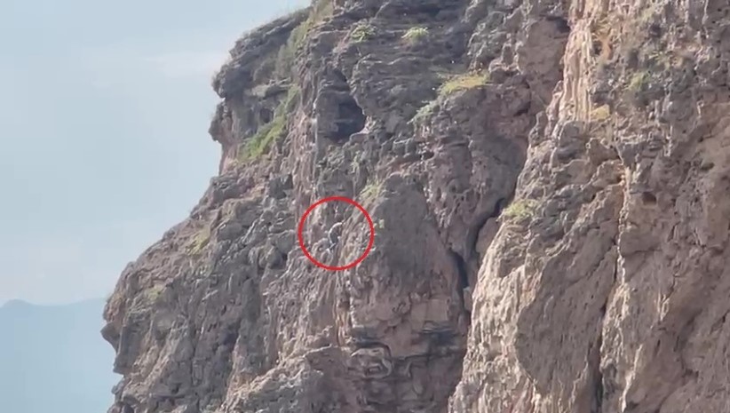 Herkes falezlerde mahsur kaldığını düşünürken gerçek apayrı çıktı