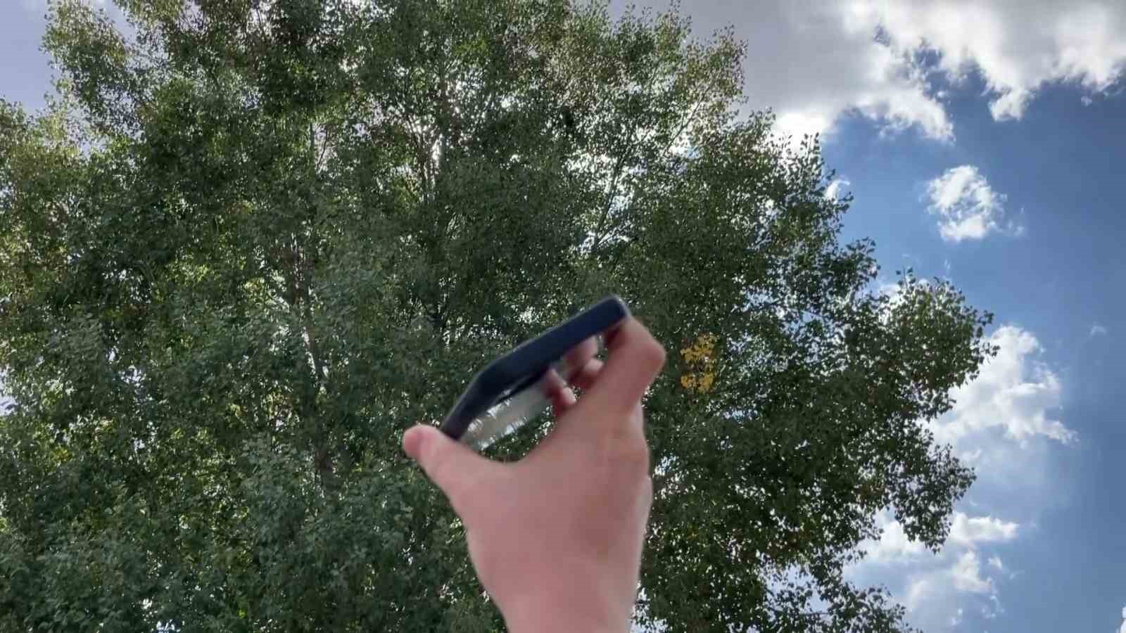 Sivaslıların Rus&ccedil;a konuşan papağanla imtihanı
