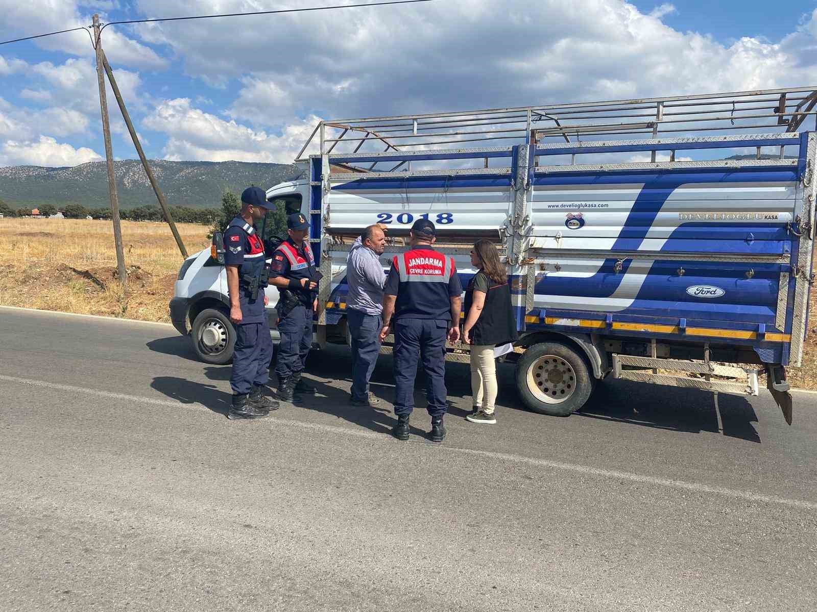 Uşak’ta canlı hayvan nakil araçlarına yönelik denetimler sürüyor