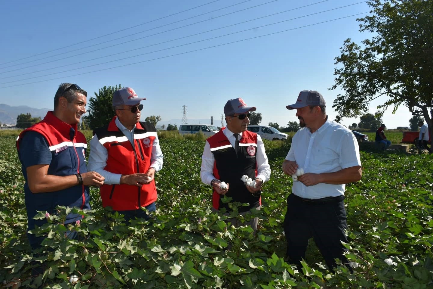 Tarım İl M&uuml;d&uuml;r&uuml; Temiz: "Pamuk Aydın i&ccedil;in stratejik bir &uuml;r&uuml;n"

