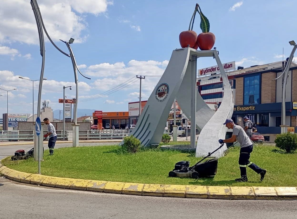 Budanan ot ve ağaç dalları mantar üretiminde kullanılıyor