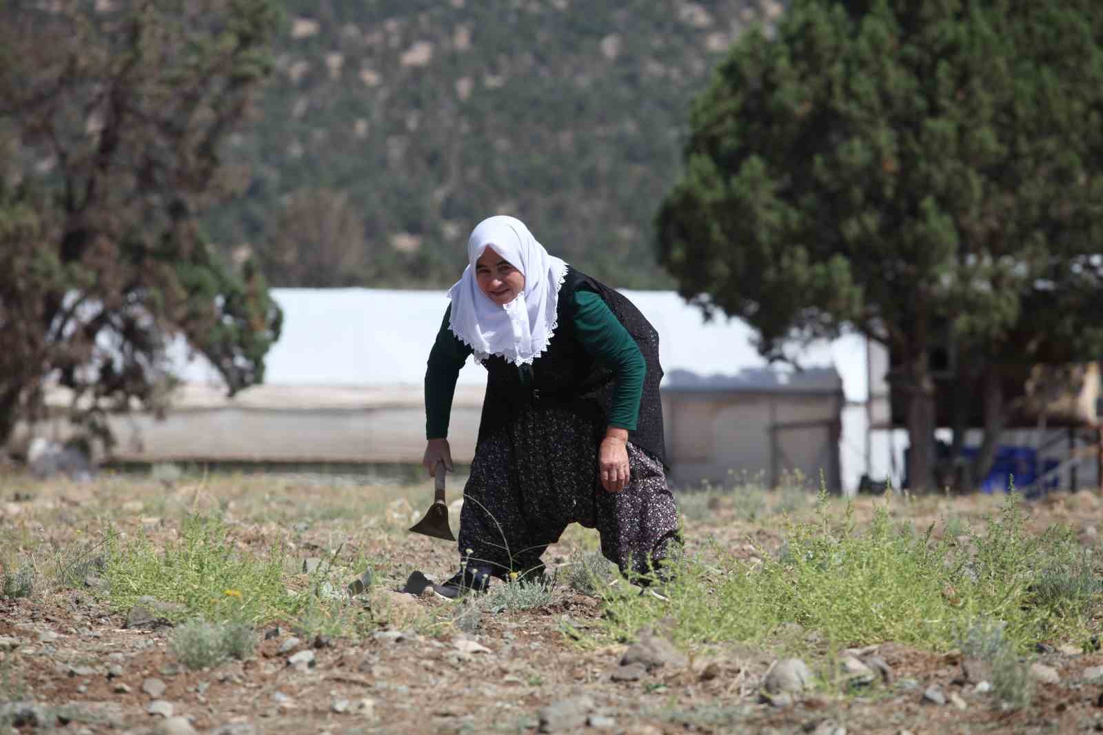 Askeri antropologdan &rsquo;Toprağınızı yabancılara satmayın&rsquo; uyarısı

