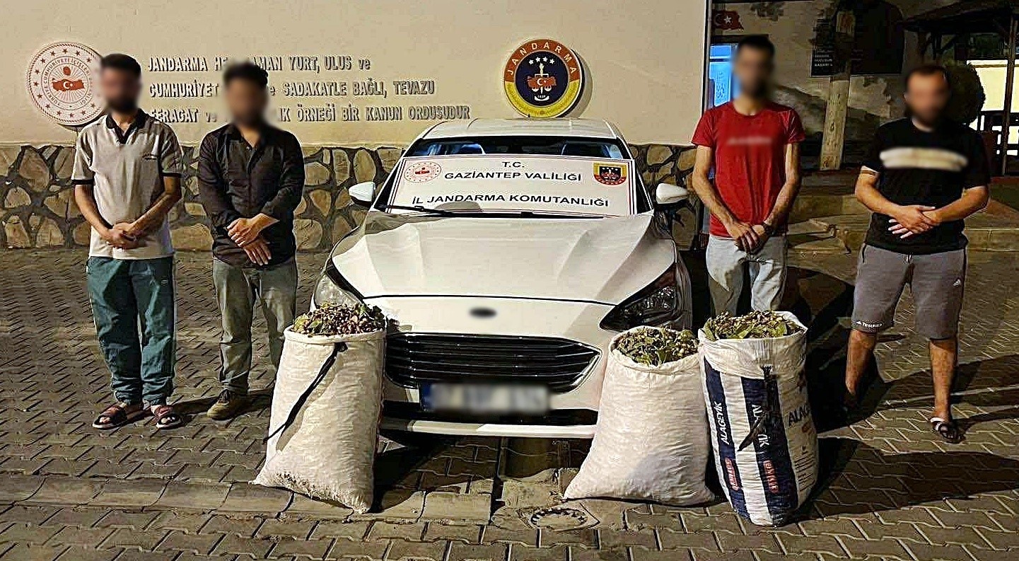 Gaziantep’te hırsızlık şüphelisi 24 şahıs yakalandı