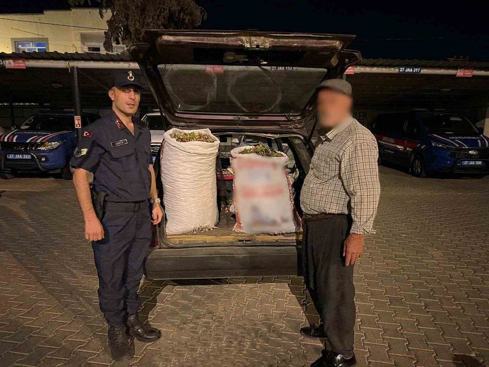 Gaziantep’te hırsızlık şüphelisi 24 şahıs yakalandı
