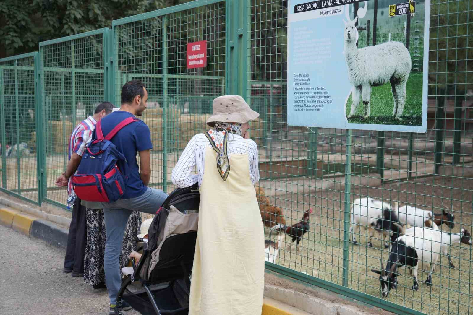 Gaziantep Doğal Yaşam Parkı&rsquo;nda 8 ayda bir yılın rekoru kırıldı
