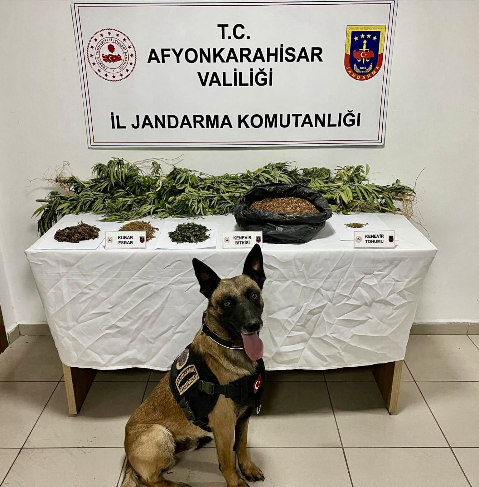 Uyuşturucu operasyonunda 1 kişi tutuklandı