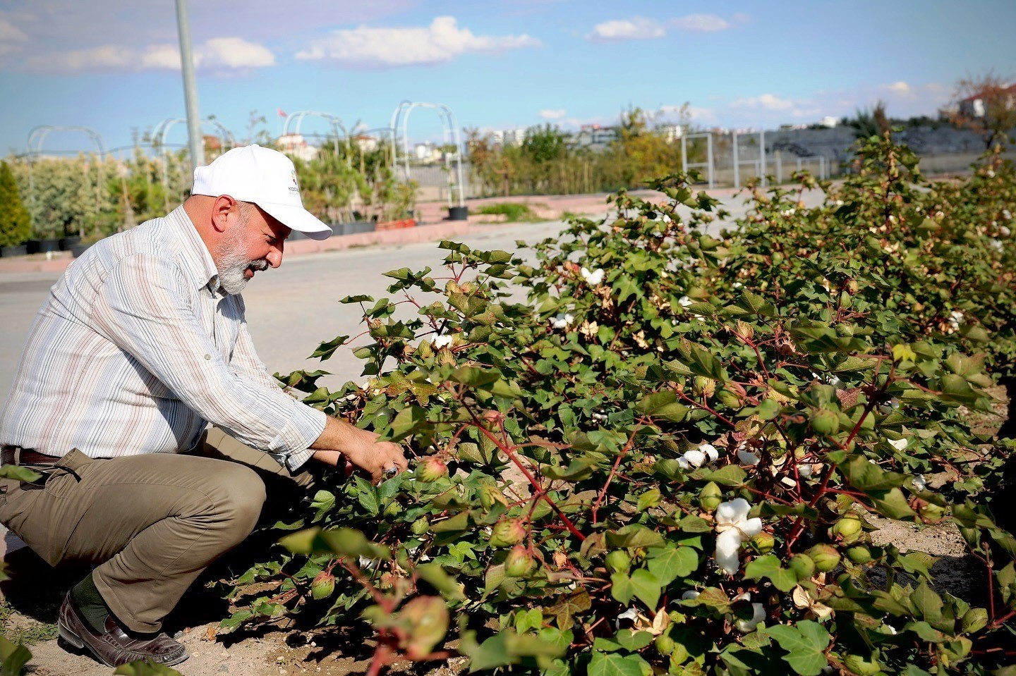 Başkan Çolakbayrakdar: "Türkiye’nin en kapsamlı fidanlığıyla Kayseri’nin yeşil dokusu zenginleşiyor"