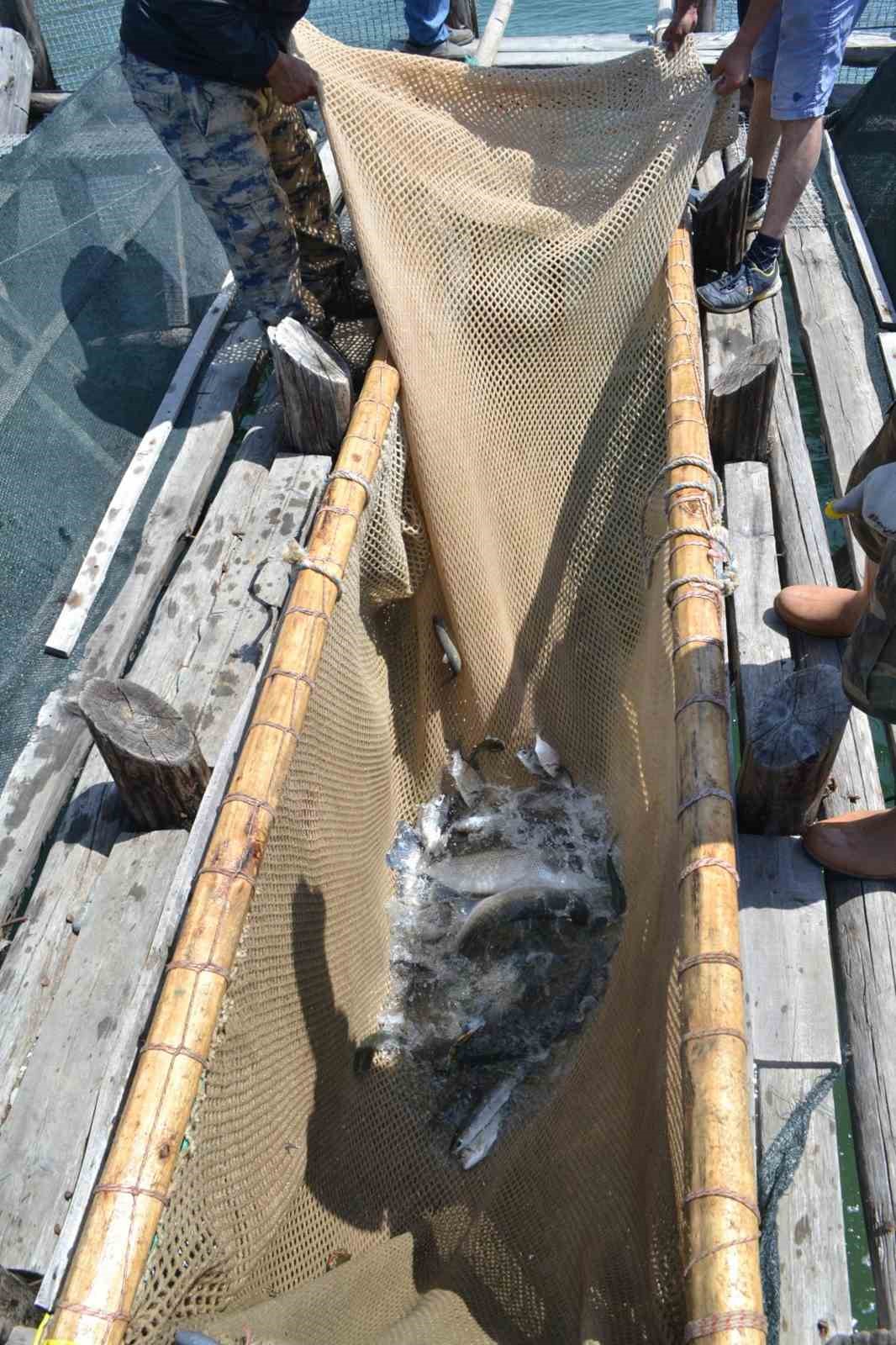 Havuzlar açılmadı, tonlarca balık telef oldu iddiası
