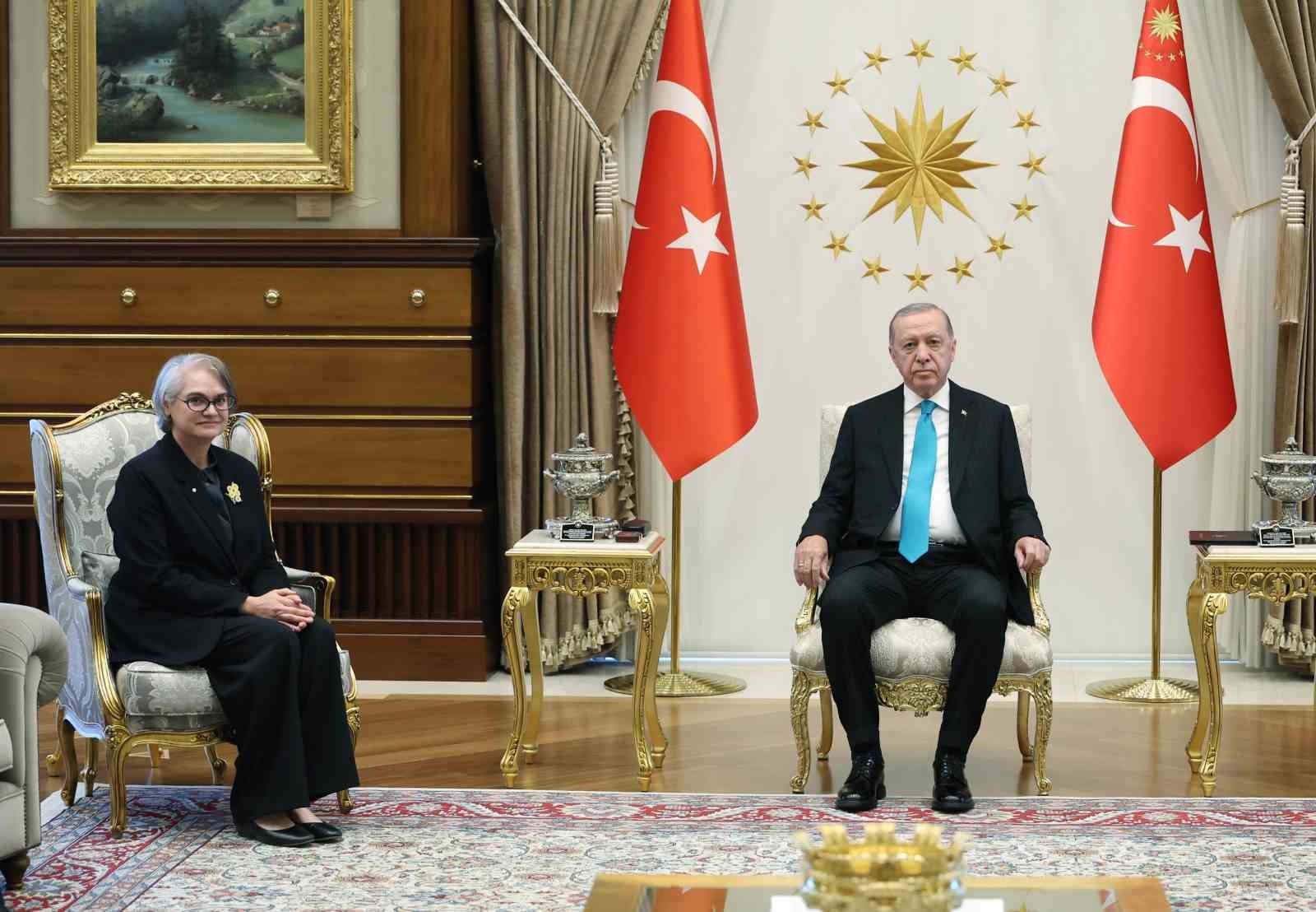 Cumhurbaşkanı Erdoğan, 4 ülkenin büyükelçisini kabul etti