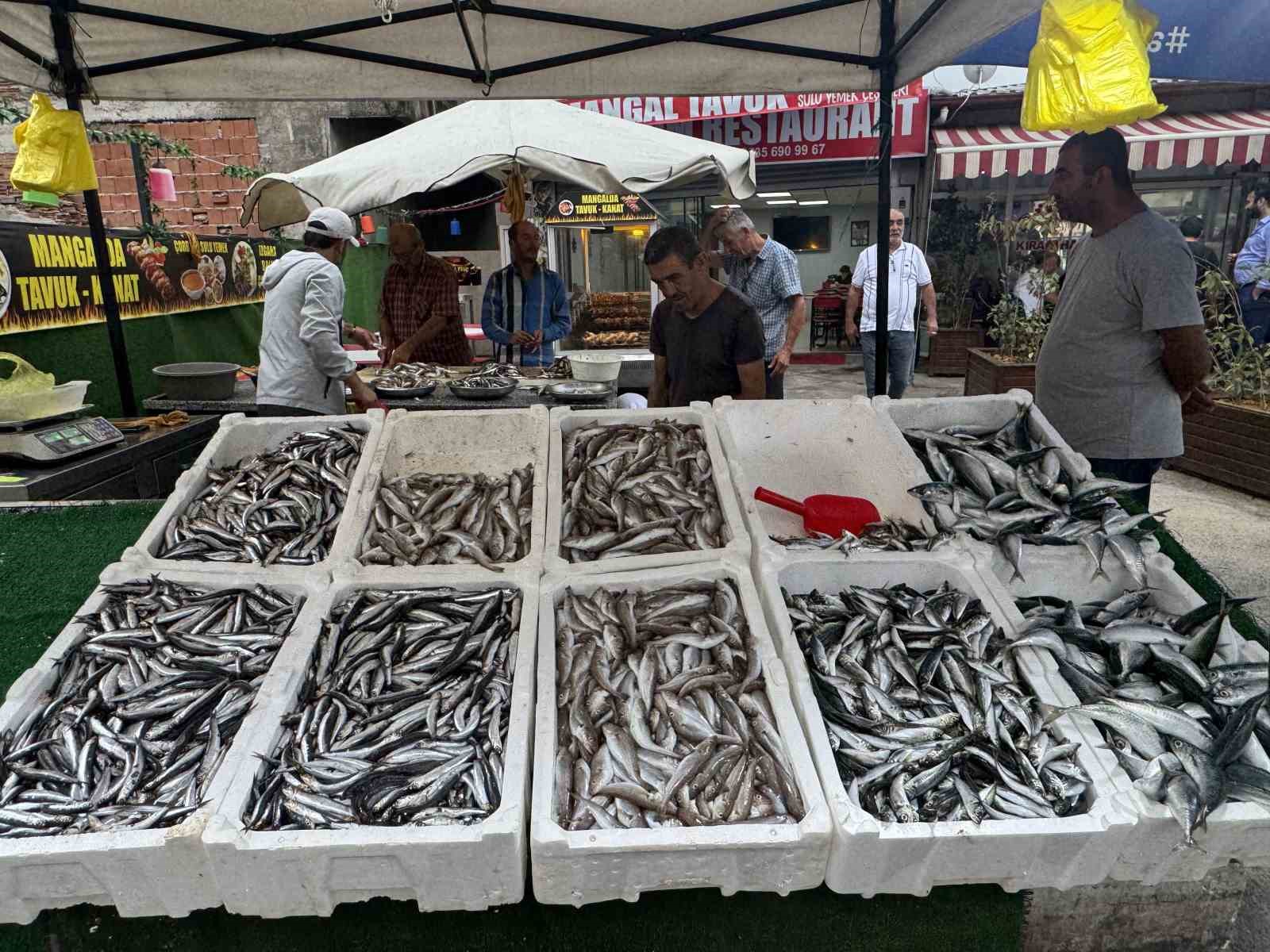 Zonguldak’ta tezgahlar balıkla şenlendi