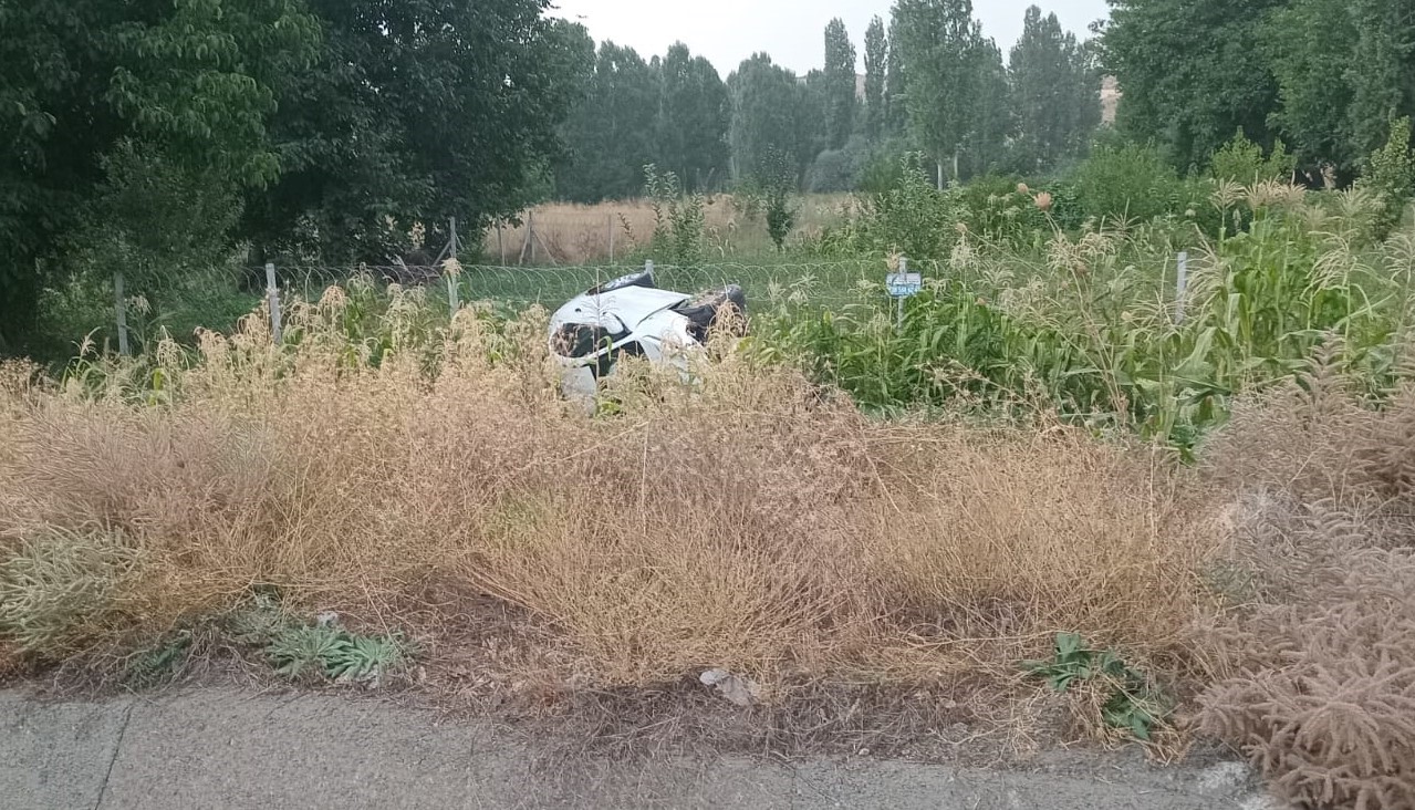 Otomobil mısır ekili araziye devrildi: 2 yaralı