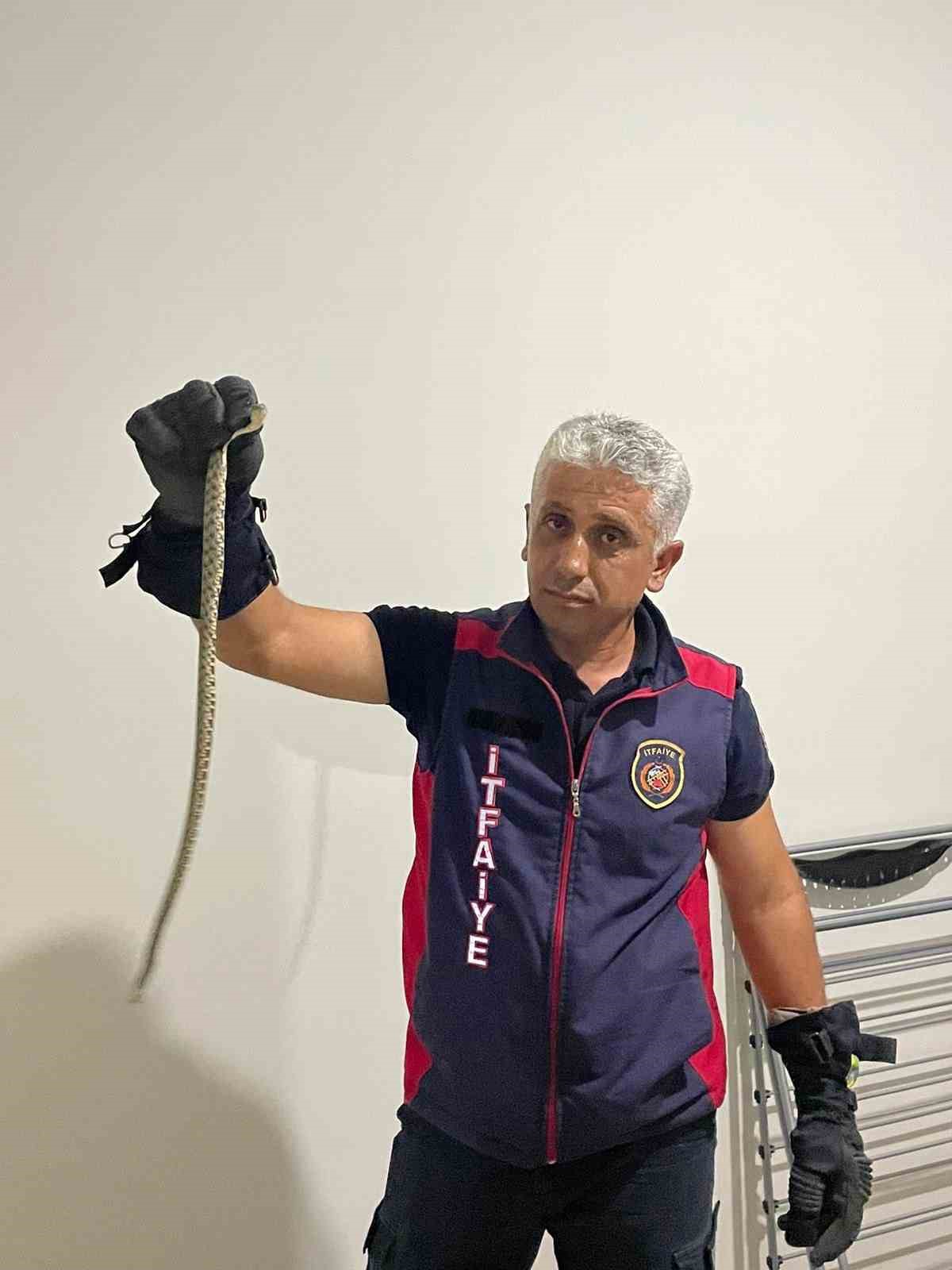 Hatay’da eve giren yılanları itfaiye yakaladı