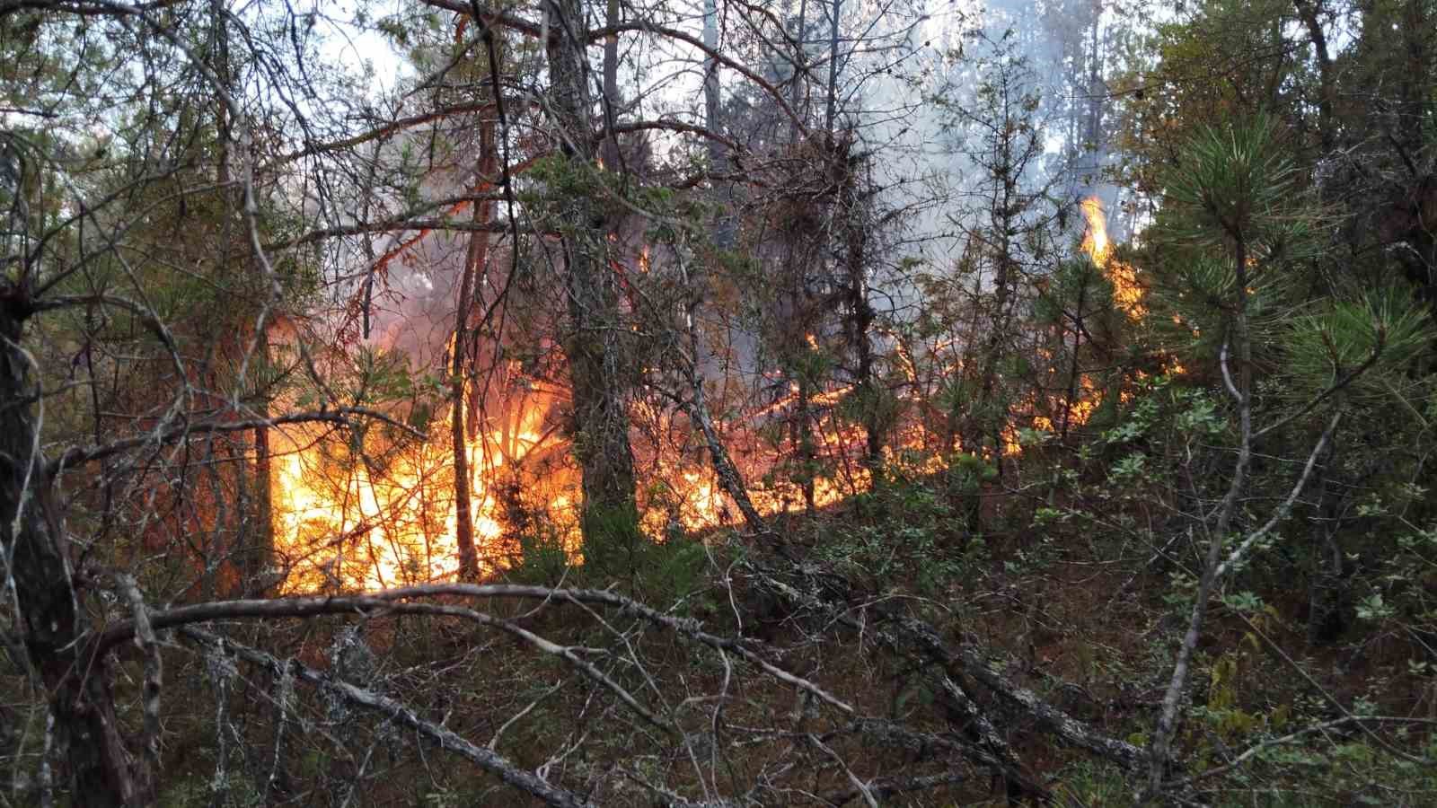 Osmaniye’de çıkan orman yangını söndürüldü