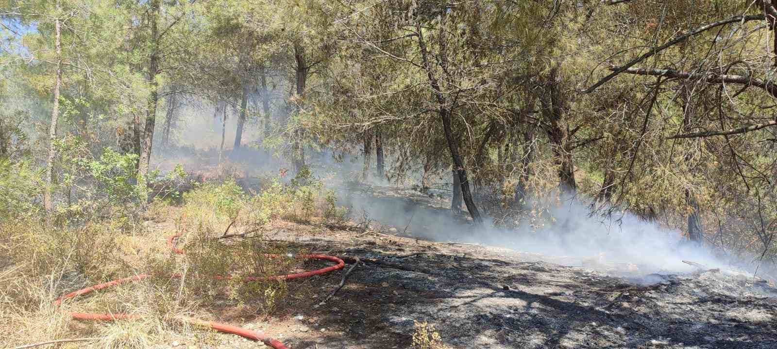 Osmaniye&rsquo;de &ccedil;ıkan orman yangını s&ouml;nd&uuml;r&uuml;ld&uuml;
