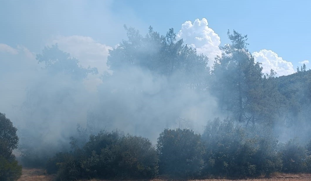 Andırın’da orman yangını büyümeden söndürüldü