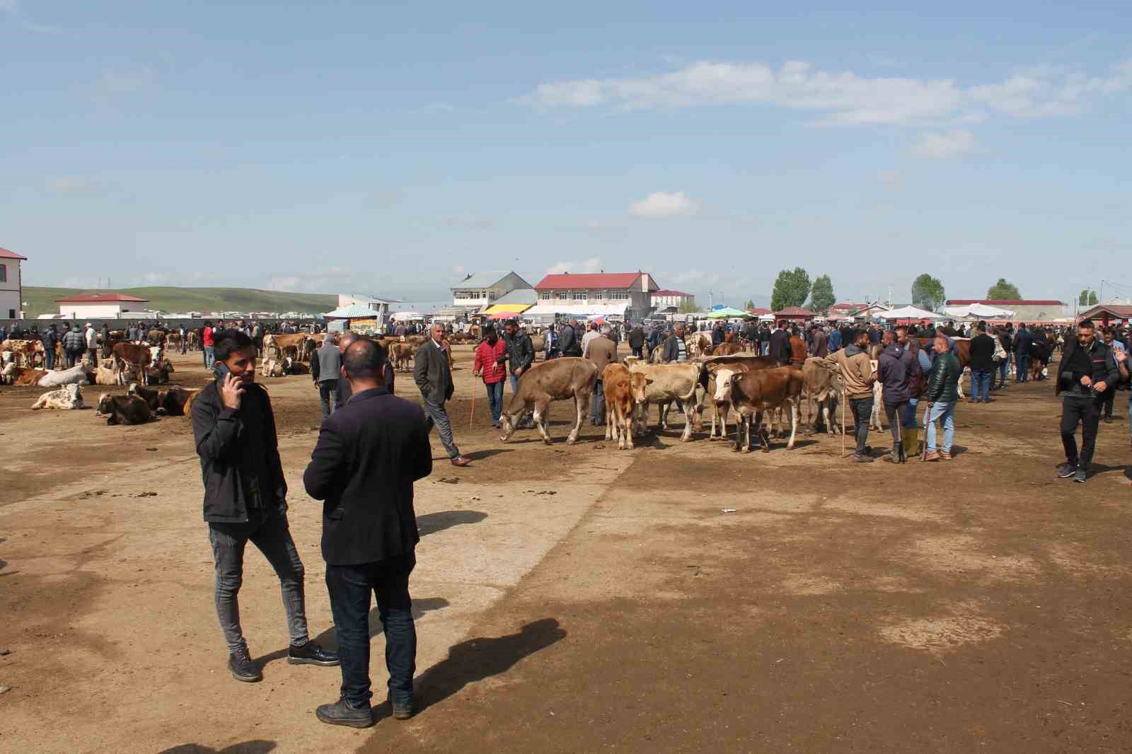 Ağrı’da Canlı Hayvan Borsası 10 Eylül’de açılacak