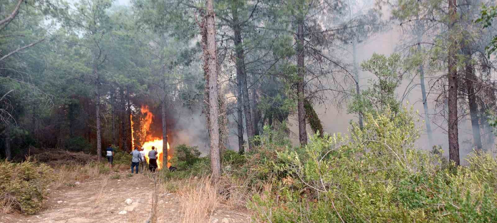Osmaniye’de orman yangını başladı
