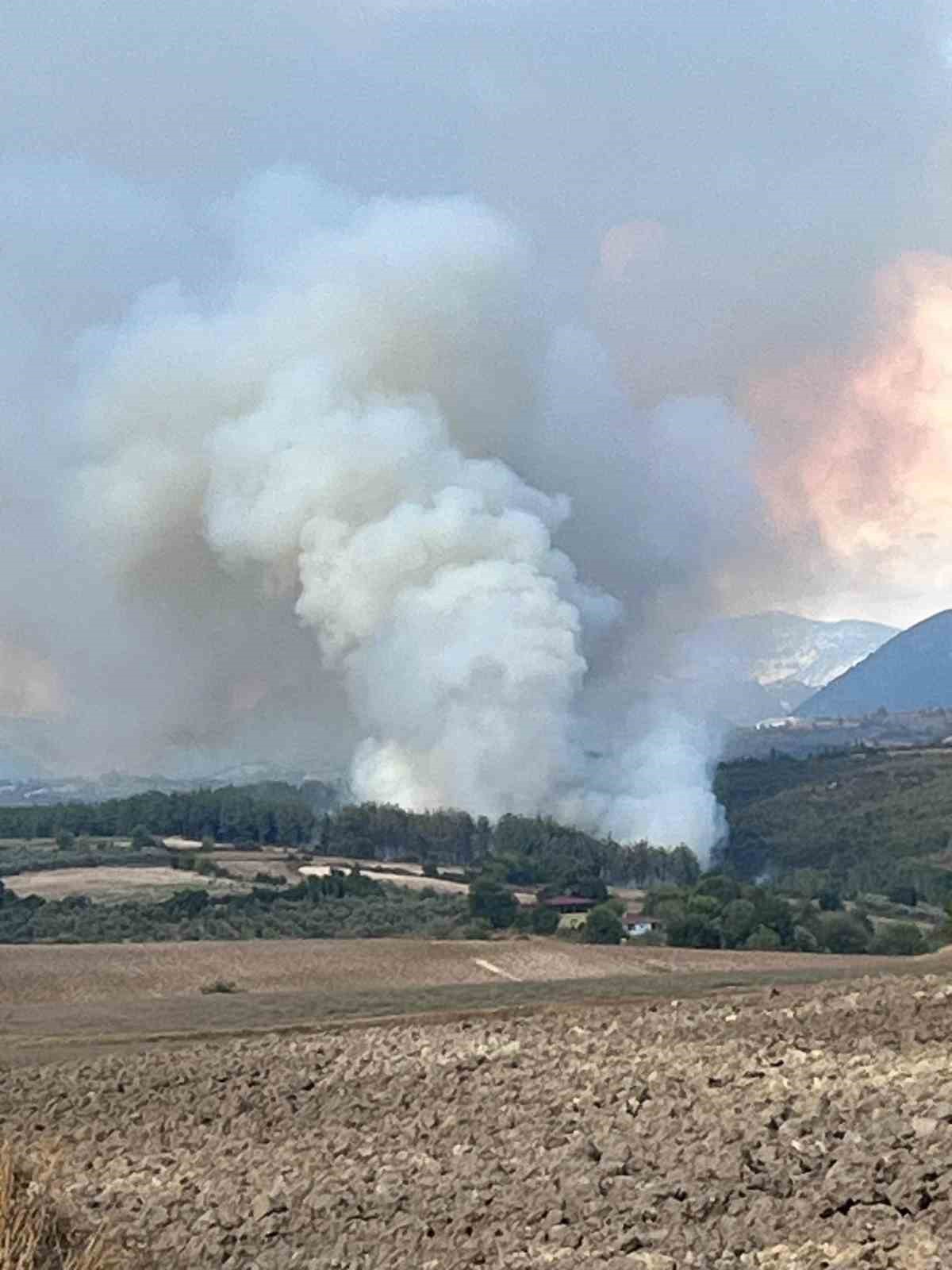 Osmaniye&rsquo;de orman yangını başladı
