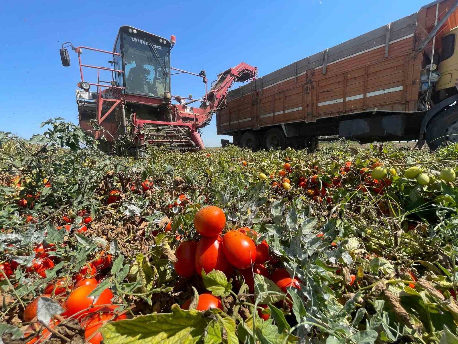 Tarımda plansızlık, üreticiyi zora sokuyor