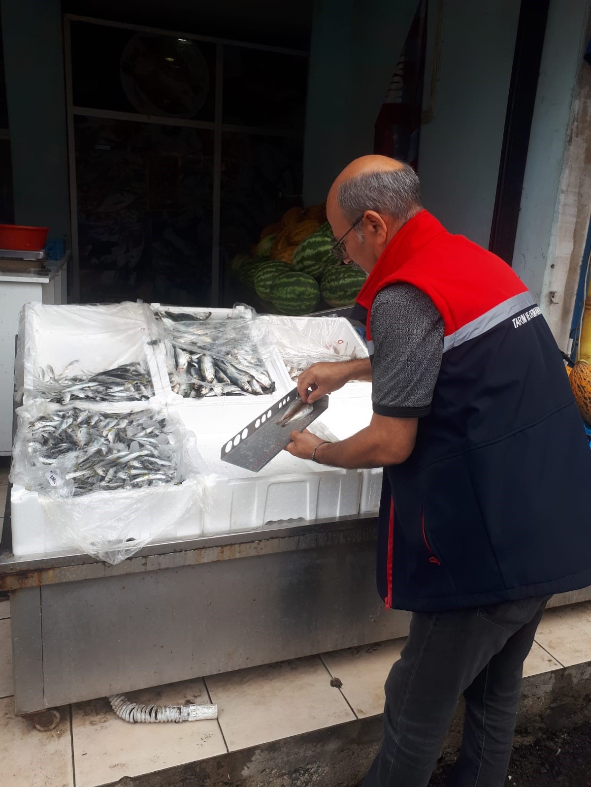 Balık av sezonunun başlaması ile birlikte su &uuml;r&uuml;nleri denetimleri sıklaştırıldı
