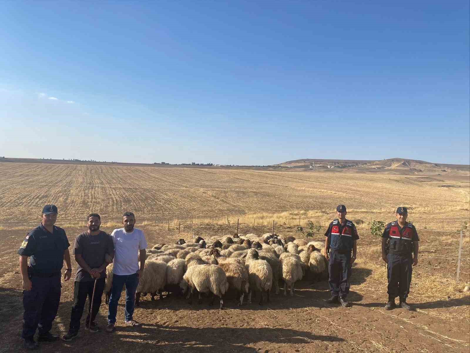 Batman&rsquo;da kayıp s&uuml;r&uuml; jandarmanın dron ile bulundu
