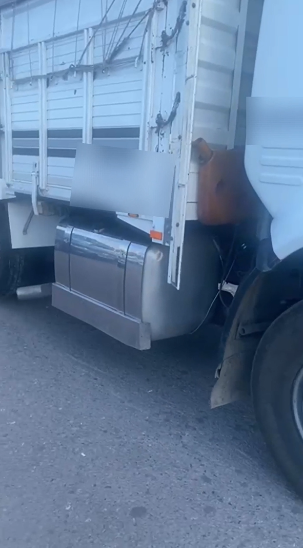 Yalova’da muayenesiz, abartı egzozlu kamyon sürücüsüne ceza yağdı