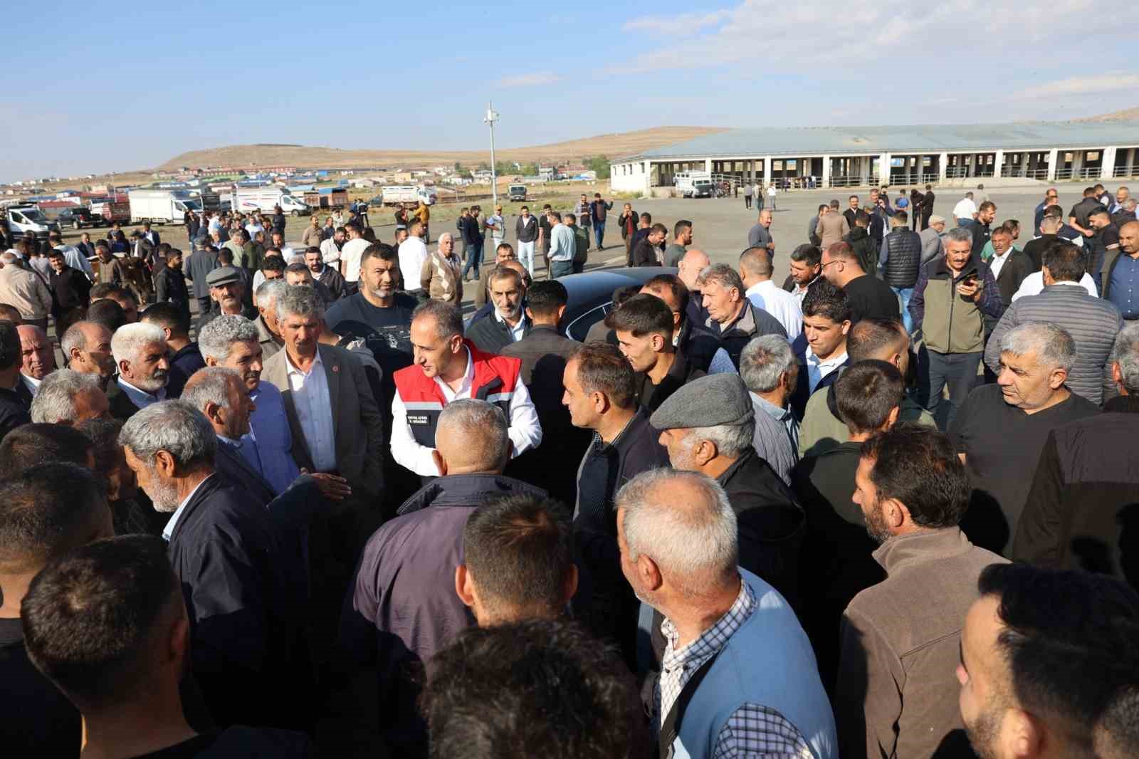 Kars Hayvan Pazarı a&ccedil;ıldı
