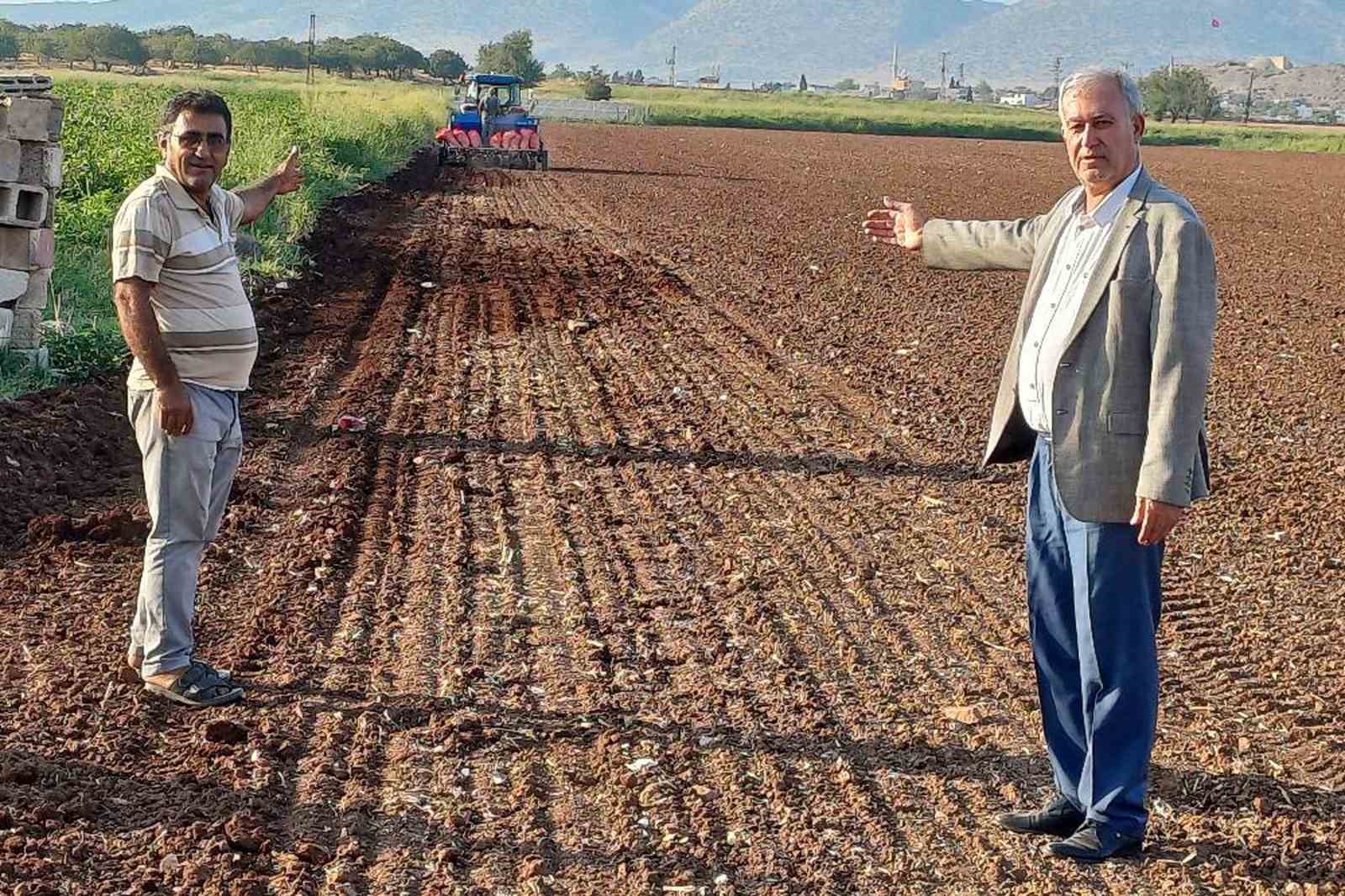 Araban Ovası’nda tecilli Araban sarımsağı ekimine başladı