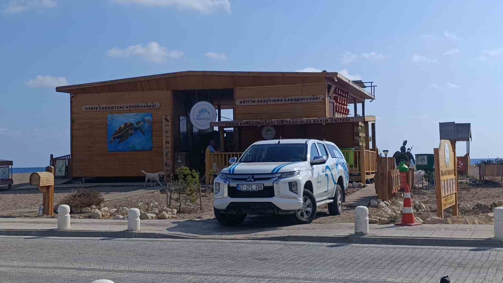 Antalya’da ’deniz kaplumbağası ambulansı’ göreve başladı