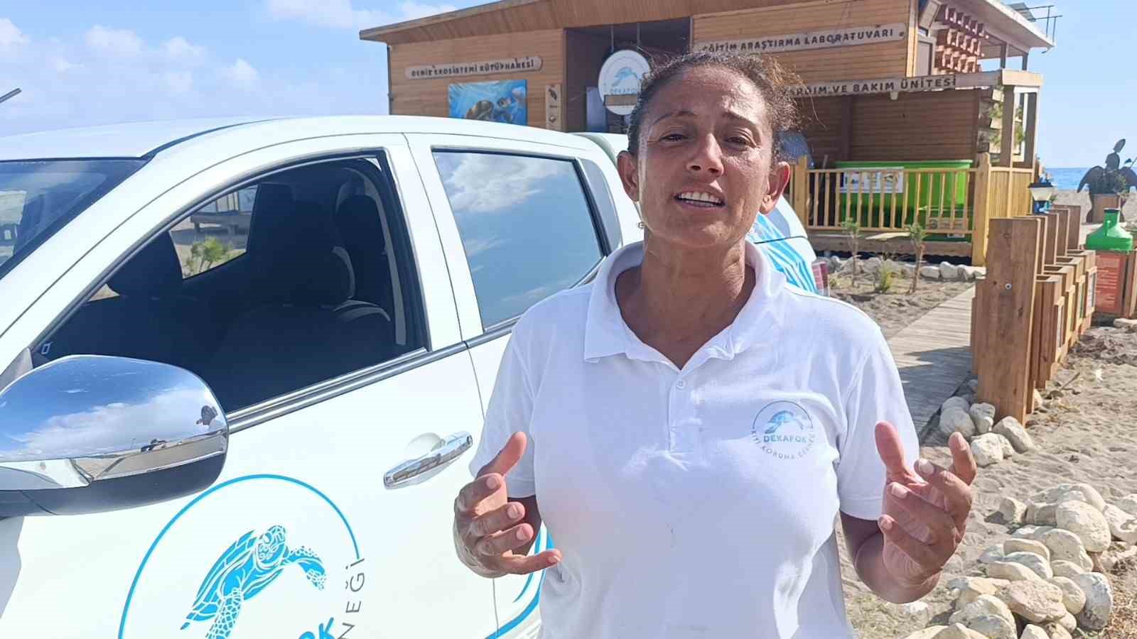 Antalya&rsquo;da &rsquo;deniz kaplumbağası ambulansı&rsquo; g&ouml;reve başladı
