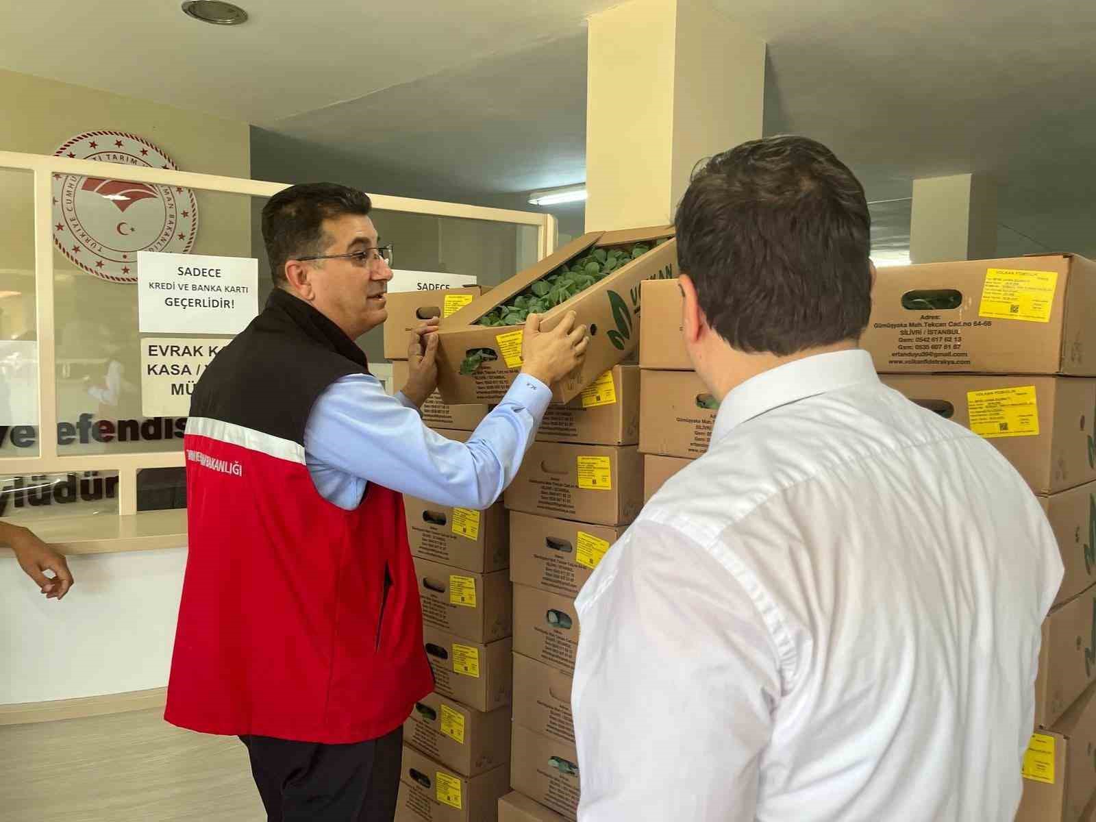 Tekirdağ&rsquo;da gen&ccedil; &ccedil;ift&ccedil;ilere fide dağıtımı yapıldı
