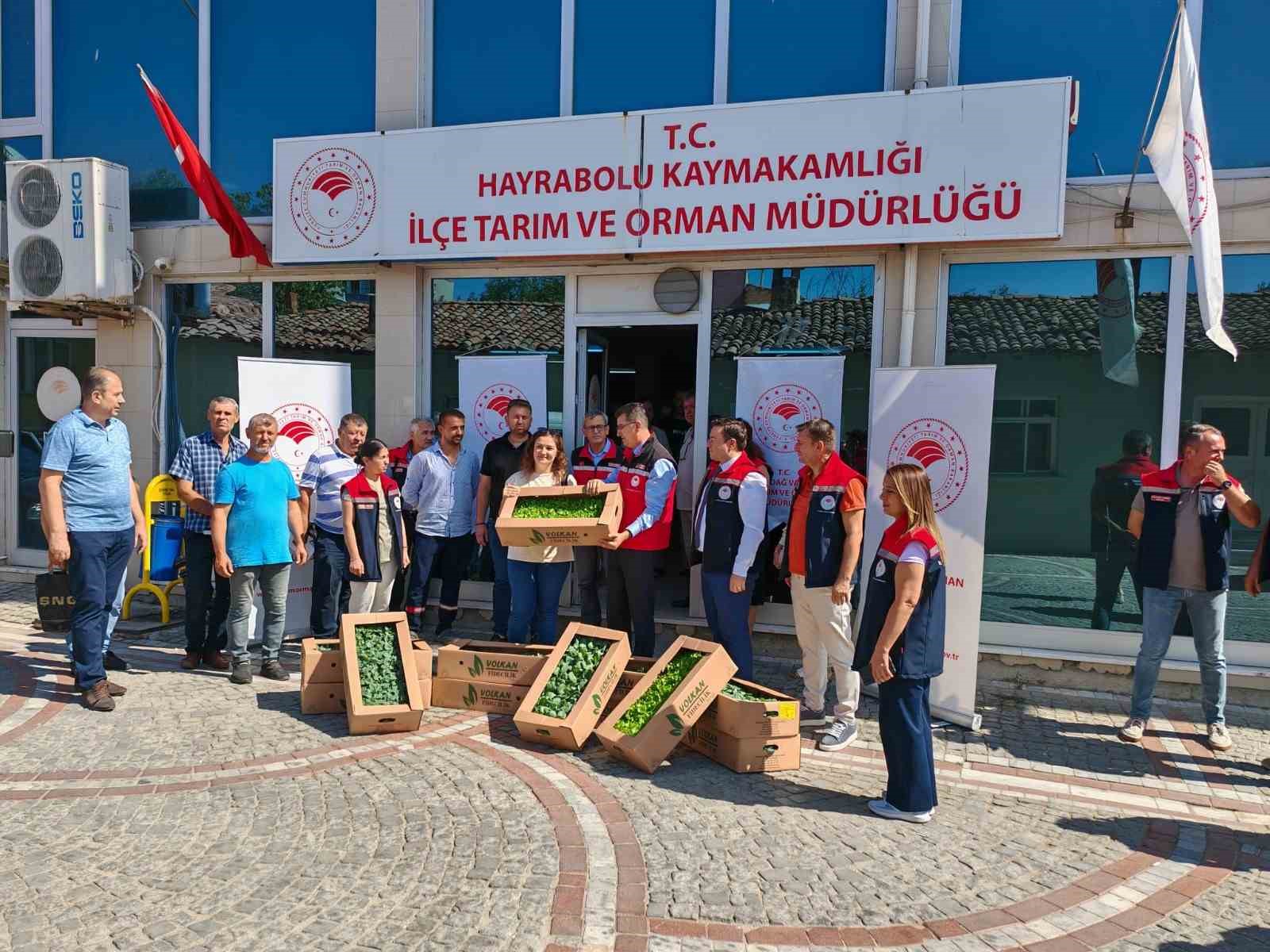 Hayrabolu’da üreticilere kışlık fide desteği