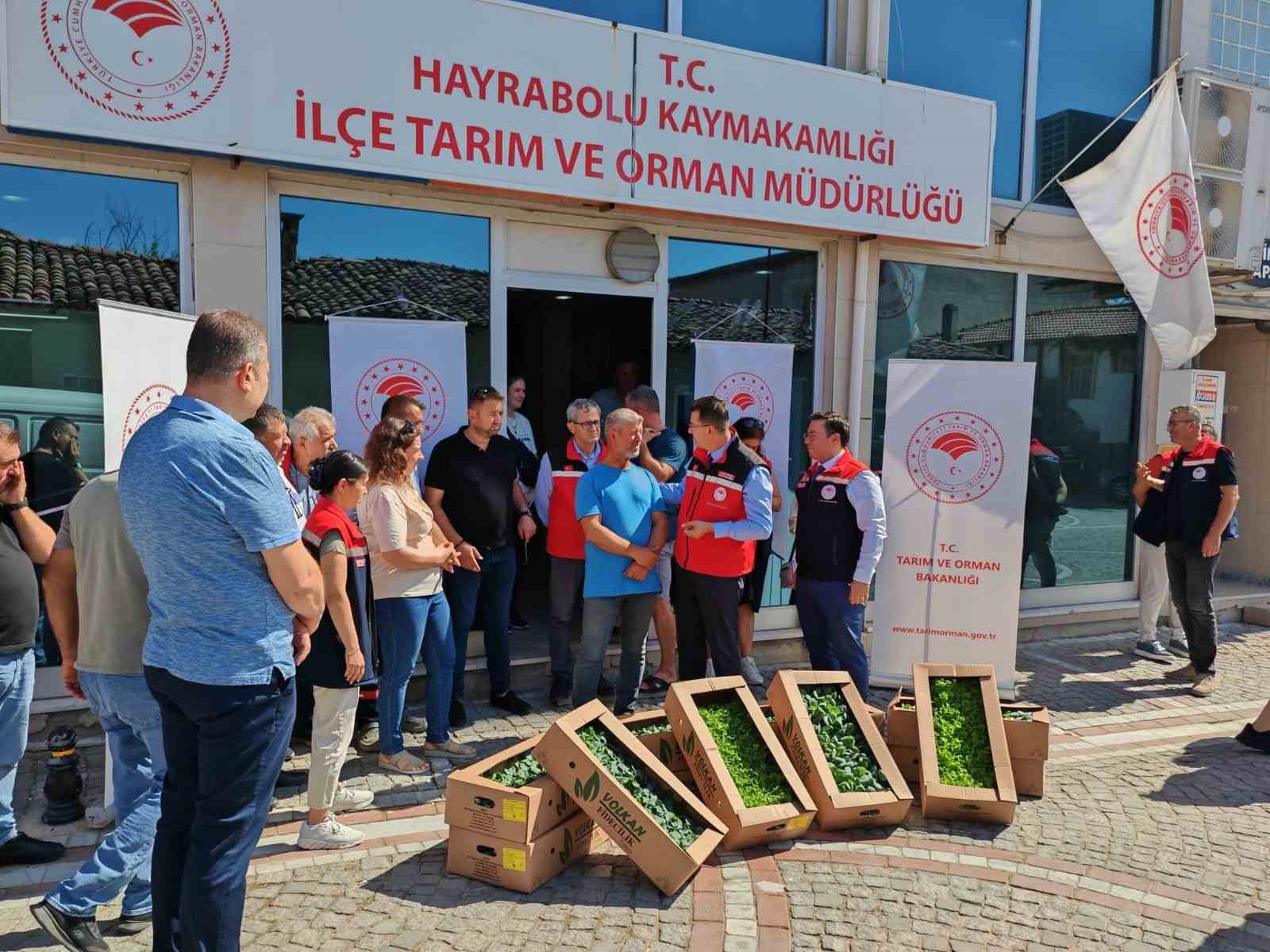 Hayrabolu&rsquo;da &uuml;reticilere kışlık fide desteği
