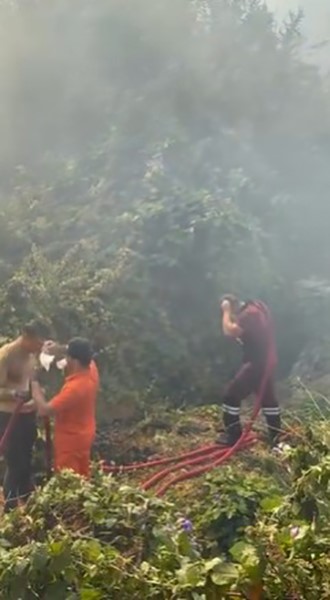 Alanya’da çalılık alanda çıkan yangında 2 sera ve 2 dönüm arazi zarar gördü